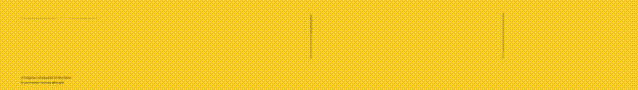 MTN WEB BANNER